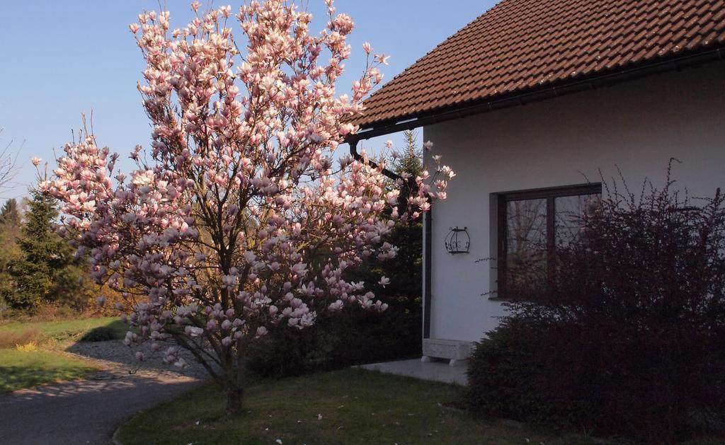 Apartmany Pod Kozakovem Tatobity Exteriör bild